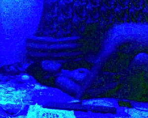 Opfyld mommy fantasy roleplay?