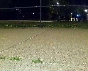 Returning after intriguing anal on 4th of July celebration