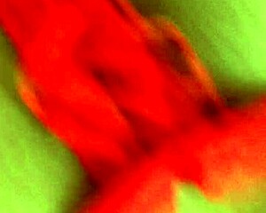 Big Cock Blowjob And Wet Pussy Exposure