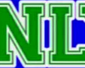 Brunette Sweetheart's Twat Wants Sex