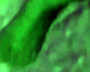 date with tinder girl turns into threesome with xvideos chicks