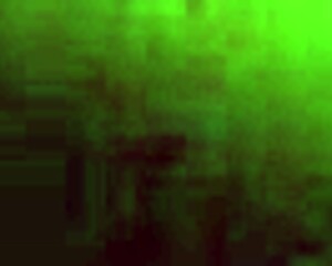 Big Cock Blowjob And Wet Pussy Exposure