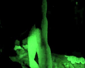 秘密のエロい生活