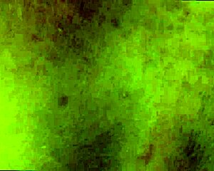 Amateur Black Couple Fuck Doggystyle POV