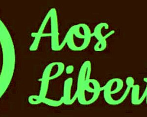 Meu Ficante Fixo Contos Libertinos