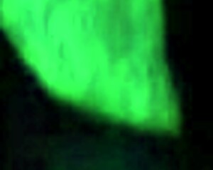 are you having fun while making that free porn