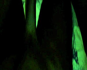 are you having fun while making that free porn