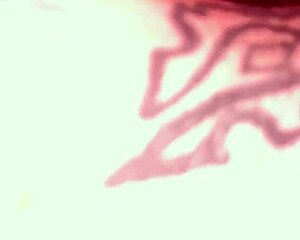 Thirdghost1 Licks Pussy Deeply