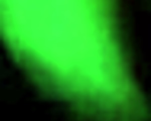 are you having fun while making that free porn