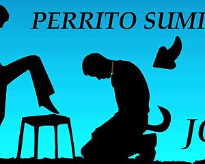 Provocative Joi: Become My Personal Dog Pet In Spanish Voice