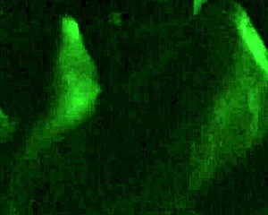 Nottee n nv delivers footjob leading to cumshot in fun session