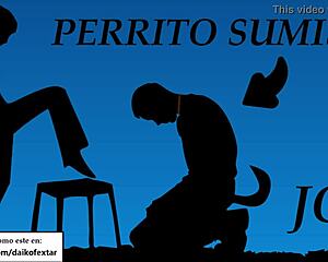 Provocative Joi: Become My Personal Dog Pet In Spanish Voice