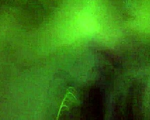 dandole por el culito