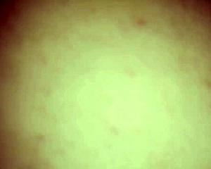 Gordinha Safada Sendo Fodida Na Beira Da Hidromassagem, Big Ass Latina In Hotel.