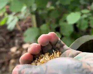 Inked Girl Shows Off Tattoos At Cool Chicken Feeding Station