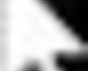 Exciting Scar Of Summer Gameplay!