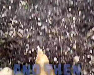 Inked Girl Shows Off Tattoos At Cool Chicken Feeding Station