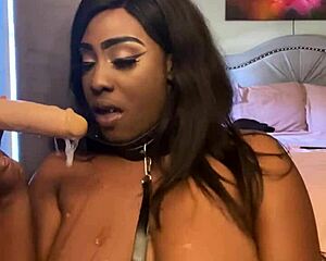 Lexo Butterflys Sucks That Cock Off The Wall