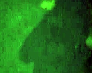 d sluts flashing while trick or treating