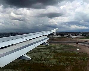 Public Dick Flashing Leads To Quick Cumshot