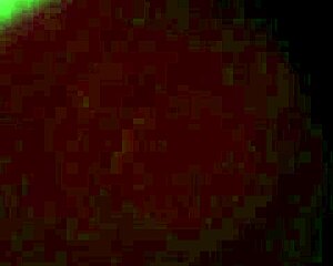 White Mature Woman Having Sex