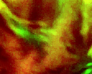 gagging deep throat stranger with golden shower piss pee tittie fucked