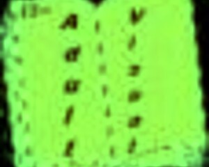 what happens in summertime saga 111?