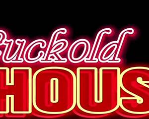 Oh wow, brunette newbie opens all holes in orgy!