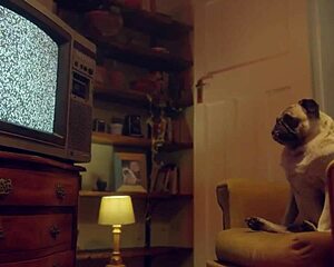 Have you seen Katrina Moreno bring Katy Rose to orgasm with her big tits?