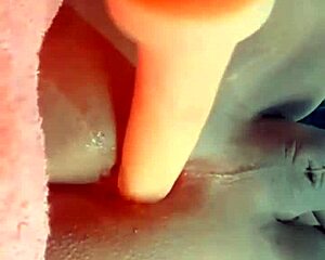 Cuzinho Trans Meladinho Gets ANAL FUCKED With DILDO!