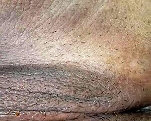 Eating ass and pussy in casual chat