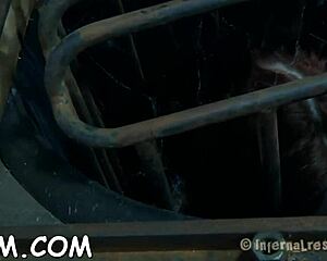 want to see the gagged bondman get gratified with a vibrator?