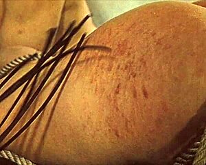 my secret life top twenty vintage punishments