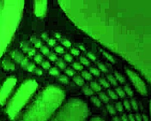 A succubus visited my house on Halloween night