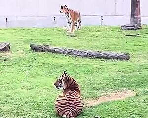 recapping our mexico trip, embracing more life with some ripped clothes adventures