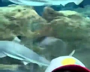 recapping our mexico trip, embracing more life with some ripped clothes adventures