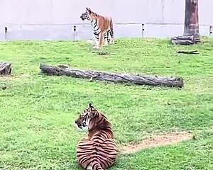 recapping our mexico trip, embracing more life with some ripped clothes adventures