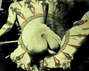 i explore vintage retro art with antique themes