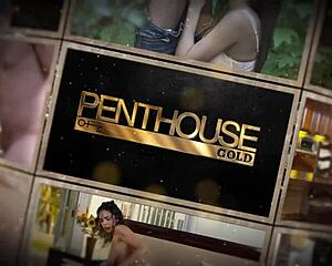 Penthousegold Com - Bangladeshi Babe Numi Zarah Sucks On Bbc Before Enjoying Balls Deep Drilling