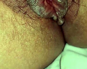 wife's stuffed animals