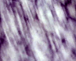 juju sucking those curly feet?