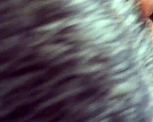 Can You Handle Sucking A Black Shemale's Big Cock?