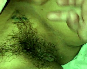 wife's stuffed animals