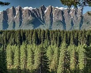 Ai Rapporto Dil Bombardilo Crocodilo