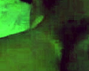 Thick Latina wife face riding hubby.