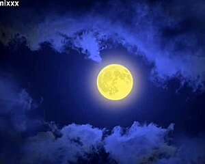 a wolf in sheeps pussy... ready for rough fucking?