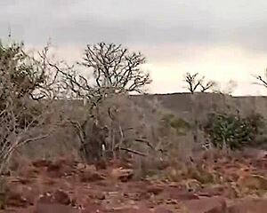 i rough fucked big tit african milf outdoor with my huge cock