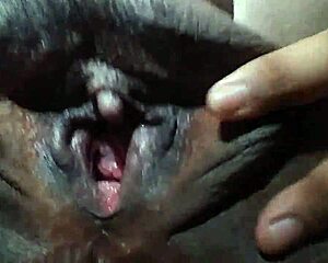 Asian Ebony Babe Shows Off Her Pussy Teasingly