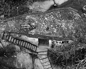 ellas4 com - sara ninfetinha delicia