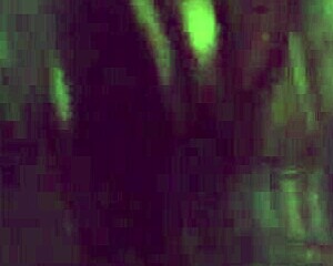 Head From My Spanish Milf With Deep Sucking